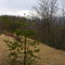 Overlook at Greenbrier - Lot 41
