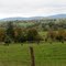 Lewisburg Pasture