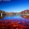 Lake Stephens, West Virginia In Fall