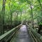 Trail