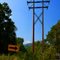 Route 61 In Summer