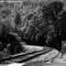 Route 61 In Summer