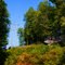 Route 61 In Summer