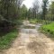 Jackson Run, Wayne National Forest