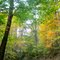 Fall Road