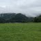 Morning mist, Rich Creek valley near Spanishburg, WV