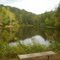 Bench at Cedar Lakes