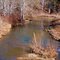 Looking NNW along the creek just north of Dunmore