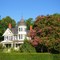 Queen Anne Victorian, Huge Crepe Myrtle