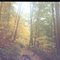 Hatfield McCoy, Browning Fork ATV Trail
