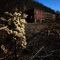 Deserted town of Thurmond, WV
