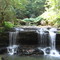 Waterfall on Arbuckle Creek - Near Minden, WV
