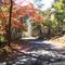 Road to the crest of Cacapon Mountain, Cacapon Resort State Park, Berkeley Springs, WV