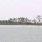 Oyster Point, Lake Conoy