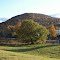 hill and nice tree