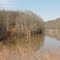 DSC02014 Stonewall Jackson Lake State Park -W view