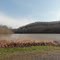 DSC02000 Stonewall Jackson Lake State Park