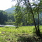 Beautiful greenbrier River