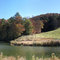Davis Lake