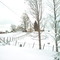Winter On The Mountain
