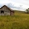 SUMMER CABIN