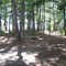 Sebago Lake