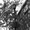 Patriotic Lamp
