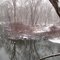 The Snowy Huron