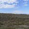 Landscape at Wagonhound Rd