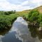 Looking upstream at LaBonte Creek from the Braae Rd. (Converse County Rd. 7) bridge, Douglas, Wyoming