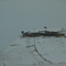 Somewhere in Wyoming