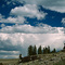 Near the top of Elk Ridge, Gros Ventre mountains, WY