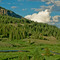 Tosi Creek beaver ponds