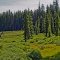 Unnamed meadow several miles west of Union Pass