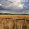 PEACE IN WYOMING,NEAAR GRAND TETON