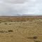 Panorama shot taken next to Bridger Creek Rd. (Fremont Co. Rd. 259), viewing easterly to south-easterly, with southern reach of the Bighorn Mountains in the far background. Lysite, Wyoming
