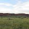On the side of Cherry Creek Rd. (Washakie County Rd. 80) looking northerly toward the Box Elder Creek Ranch. Ten Sleep, Wyoming