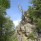 Leaning tree