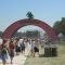 Welcome to Bonnaroo
