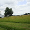 manchester, tn