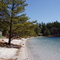 Myles Standish State Forest