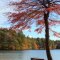 Lakeside Plymouth