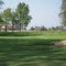 Links Of Novi Golf