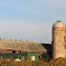 Turkey Vultures Perched on Farm Building Rooftops, Salem Road, Salem Township, Michigan
