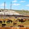 BLM Wildhorse Corral, Rock Springs, WY July 2010