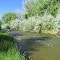 On Sybille Creek, looking south-south-westerly, upstream from the Wyoming State Hwy. 34 bridge. Wheatland, Wyoming
