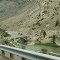 Old Bridge in Shoshone Canyon
