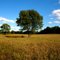 Al Sabo Land Preserve