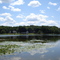 Lake Hill'N Brook