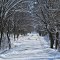 R Avenue in February